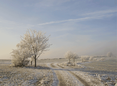 Landschaft, Gusterath